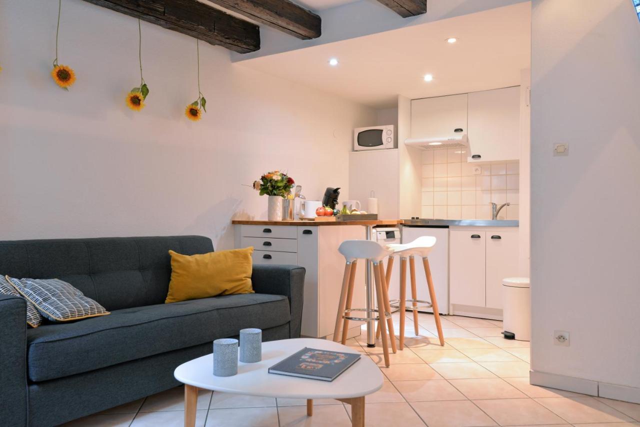 Appartement La Terrasse Sur Cour Colmar Kültér fotó