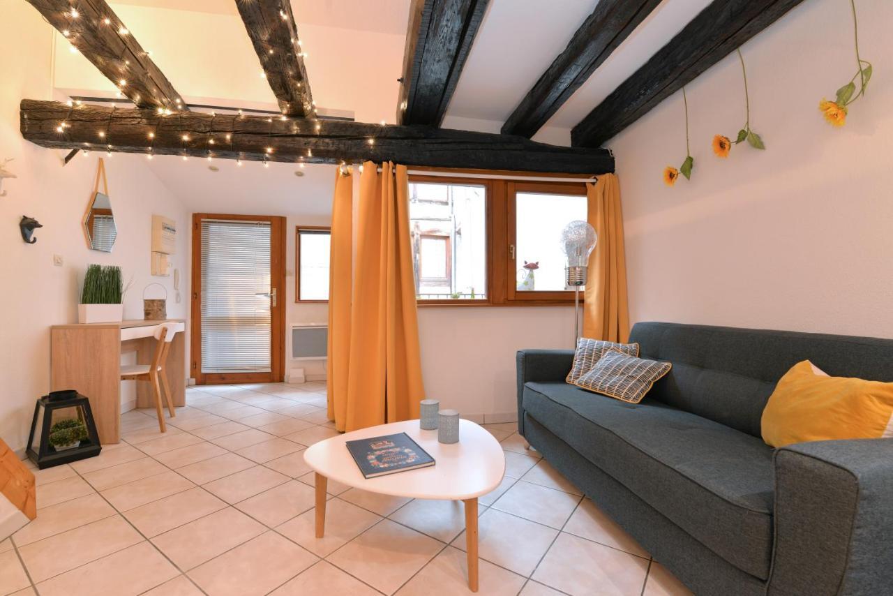 Appartement La Terrasse Sur Cour Colmar Kültér fotó