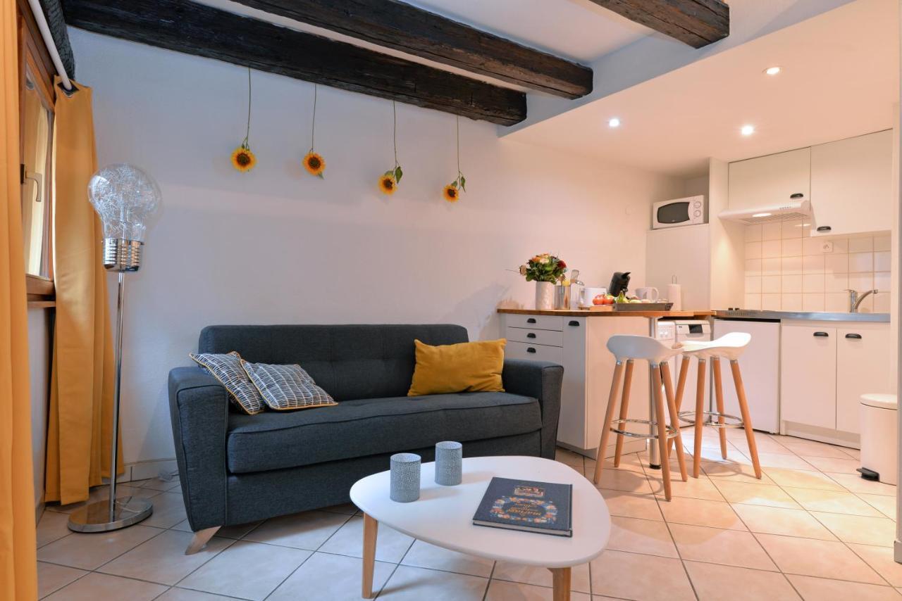 Appartement La Terrasse Sur Cour Colmar Kültér fotó
